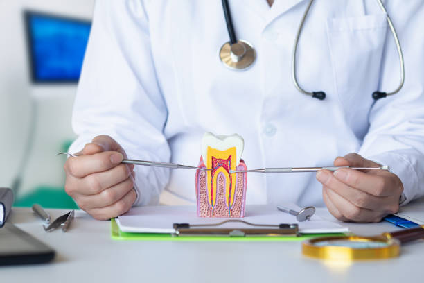 Best Emergency Gum Treatment in Oak Grove, AL